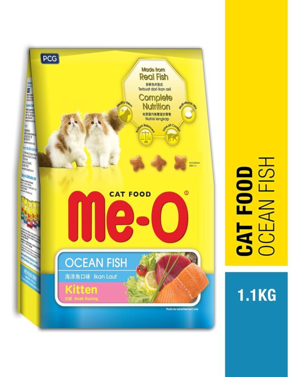 cat dry food